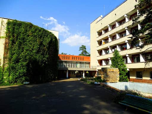 Лісова поляна